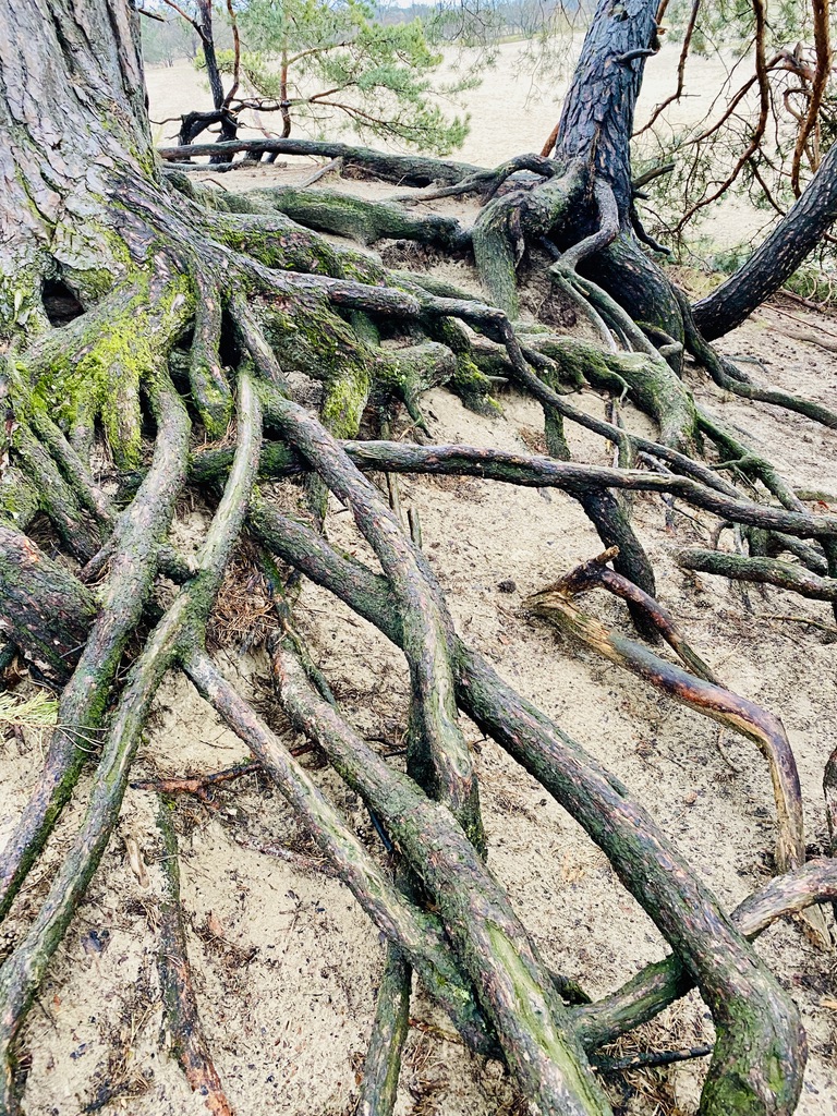Natuur met onbegrensde mogelijkheden.